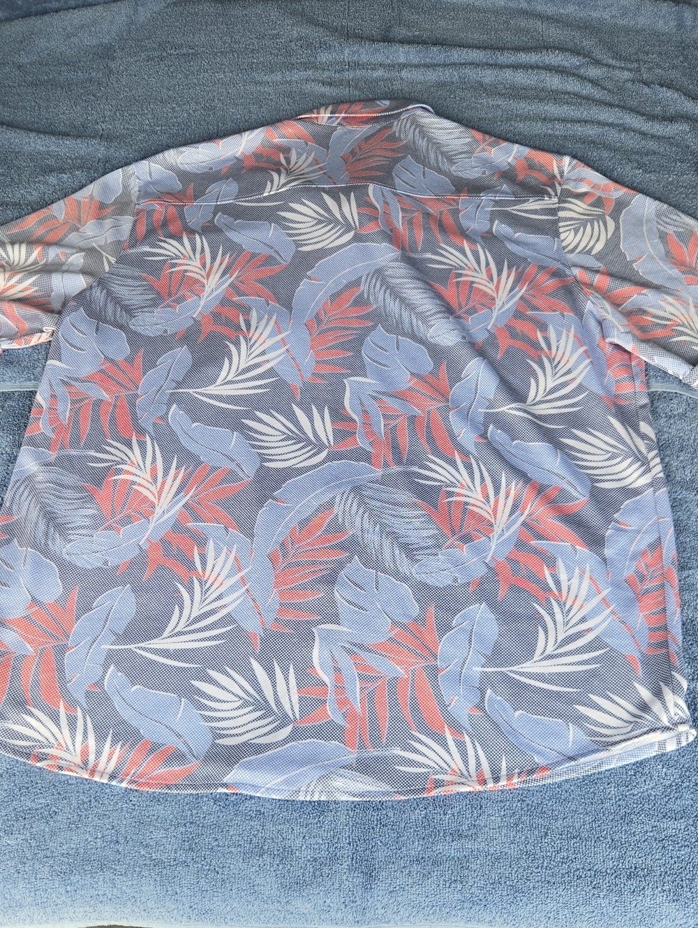 Nicoby Button Down - Picture 3 of 4